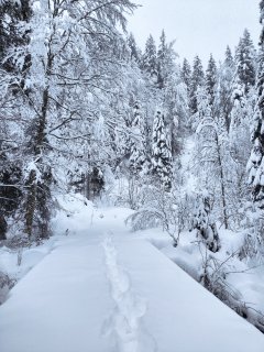 Alles Gute für das Jahr 2026!